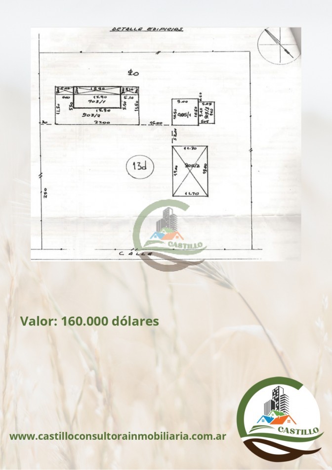 8 ha mixtas - Saladillo
