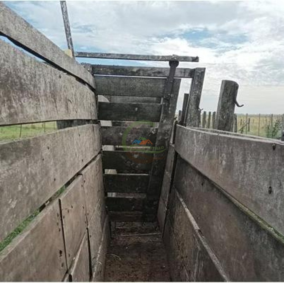 283 Ha Mixto - Necochea