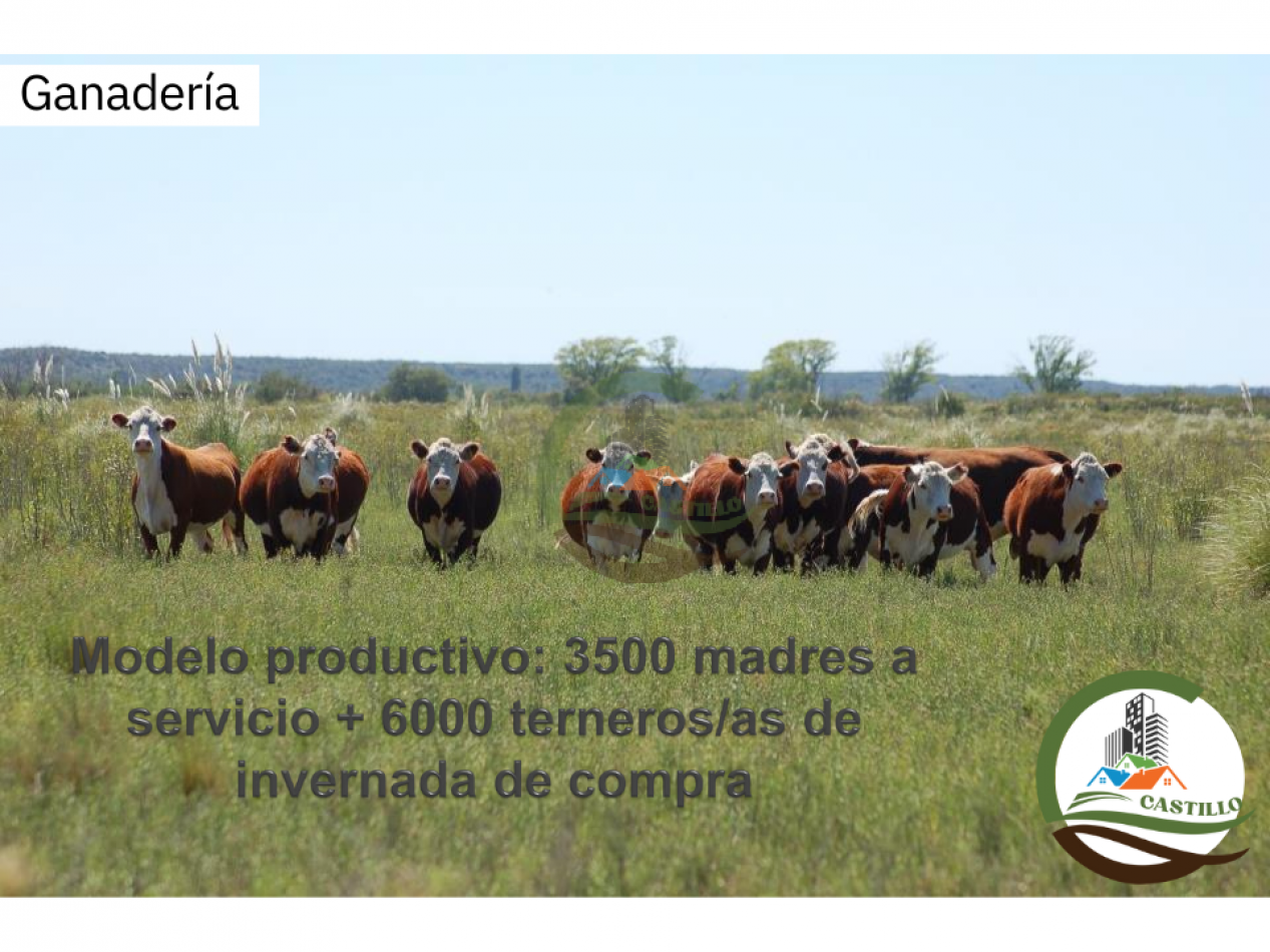 74000 ha Mixtas - Rio Colarado
