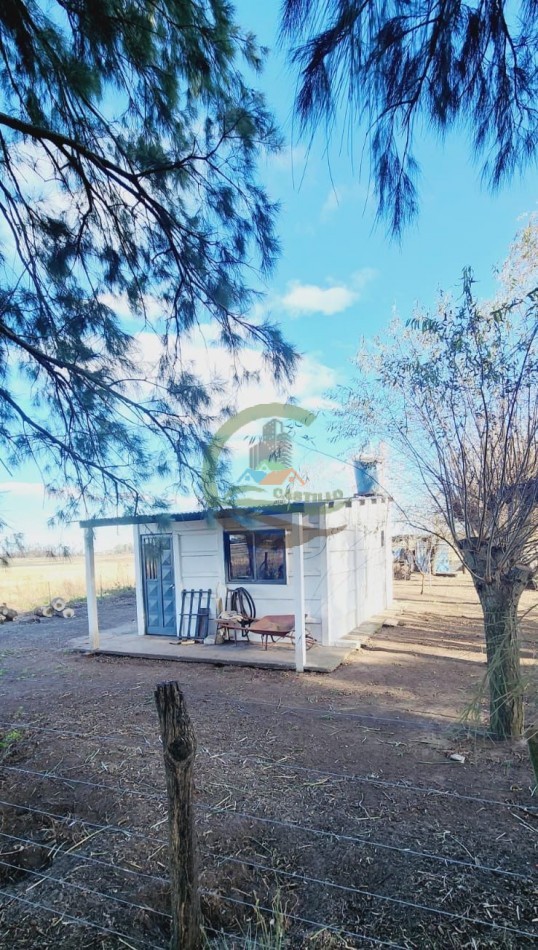 12,6 ha Mixtas - Saladillo