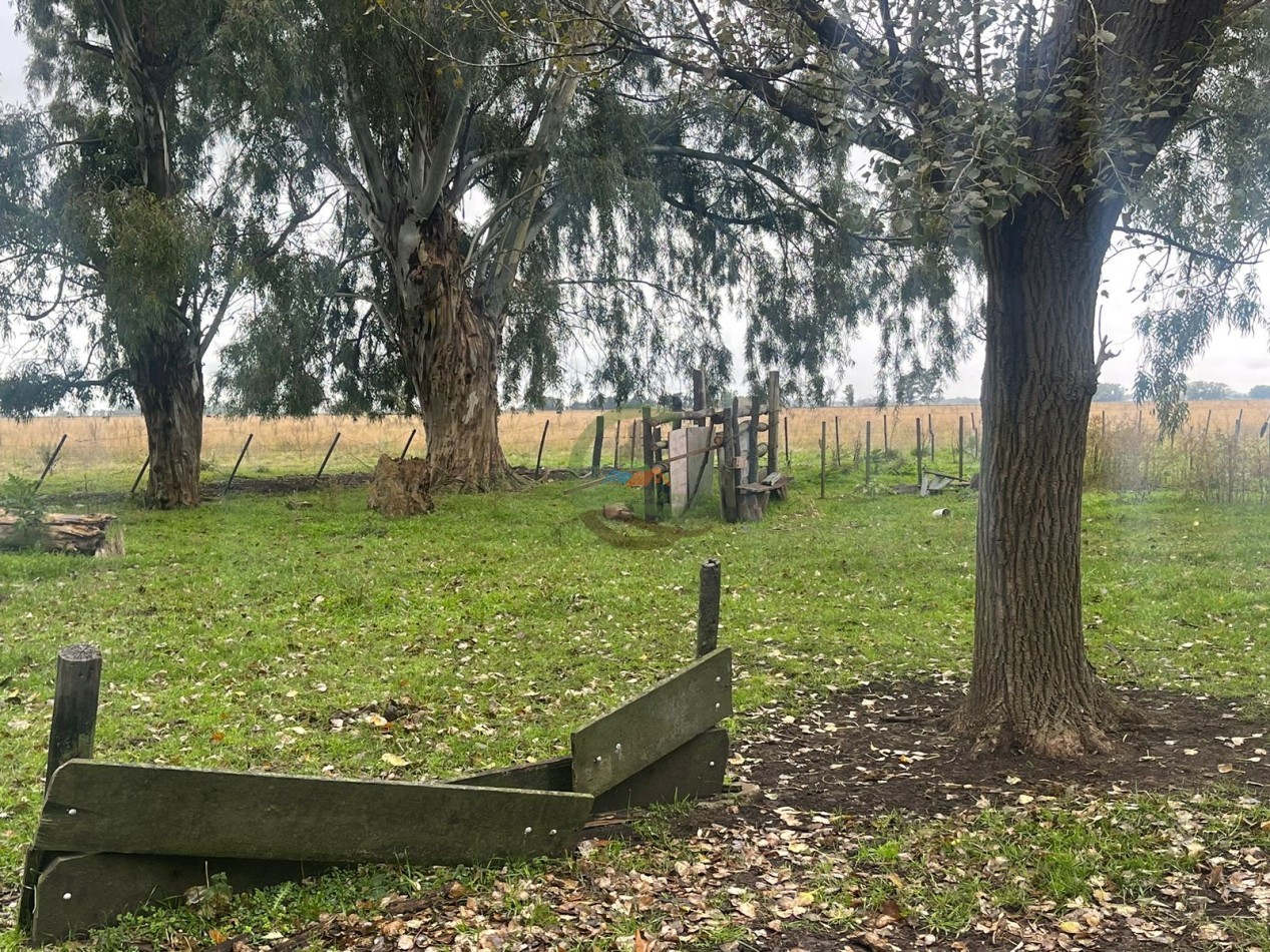 47 ha Ganadera - Olavarria