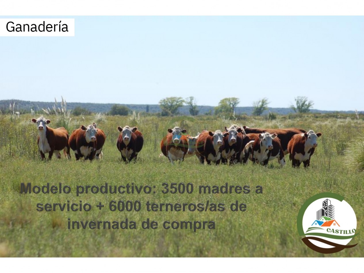 70000 ha Mixto - Rio Negro