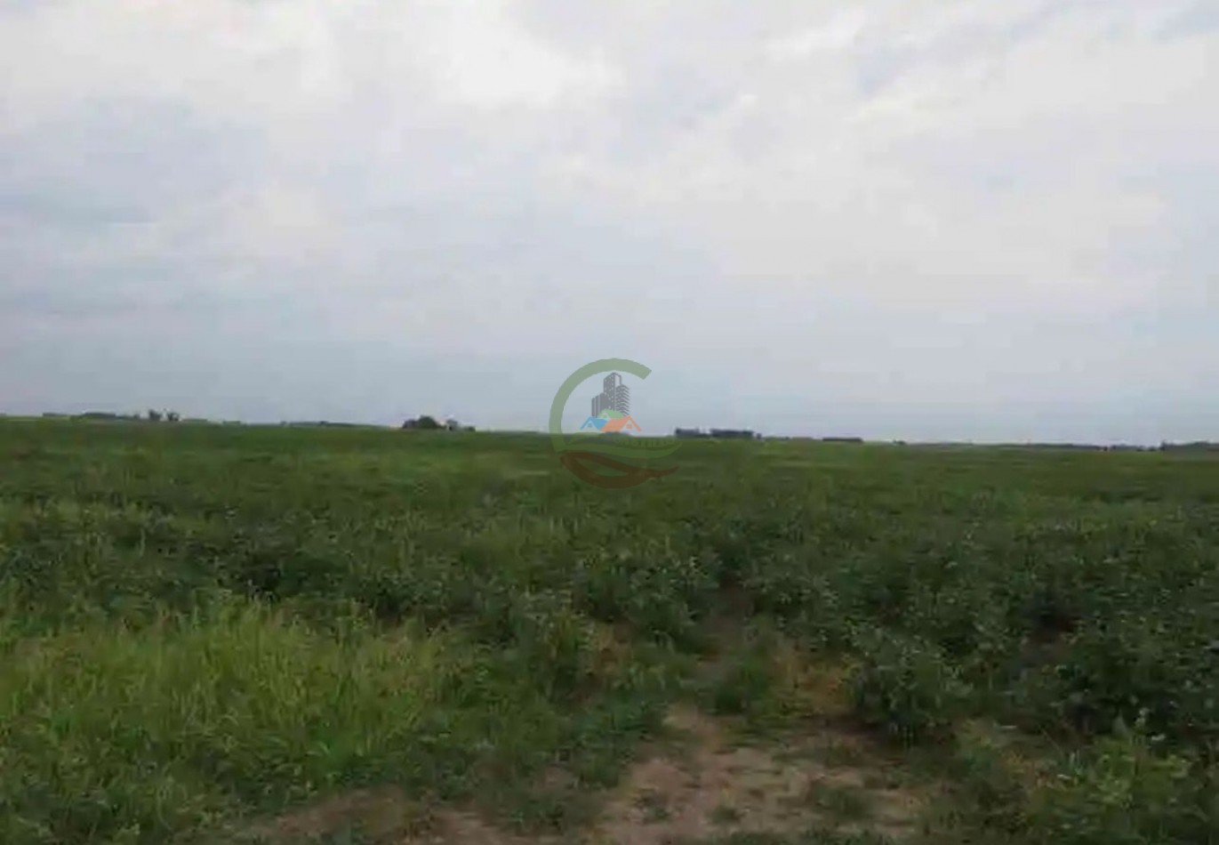 488 ha Mixto - Saladillo
