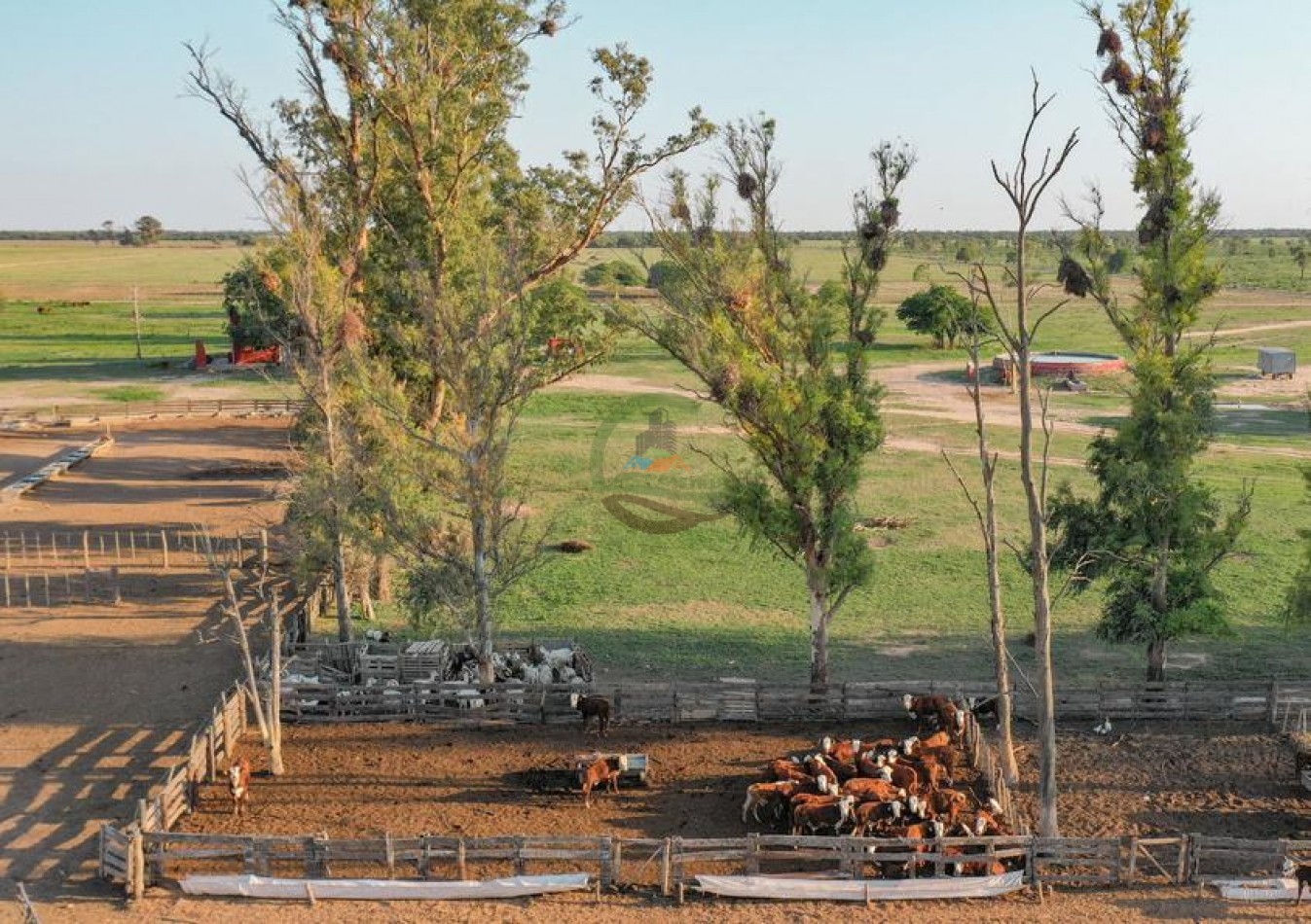 9389 Ha Mixto - Jimenez - Santiago del Estero