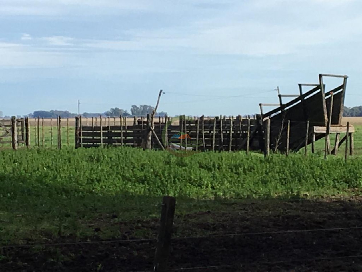 380 ha Mixtas - Bolivar