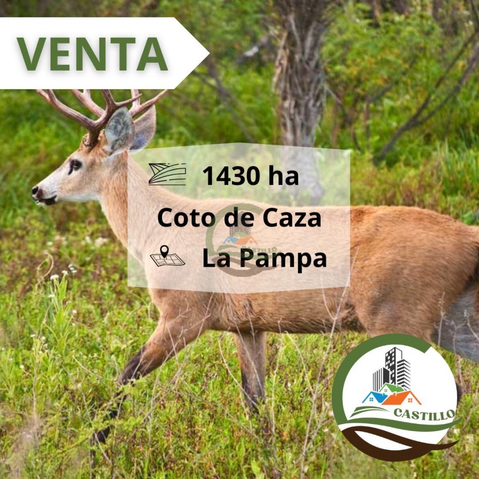 1435 ha coto de caza - la pampa