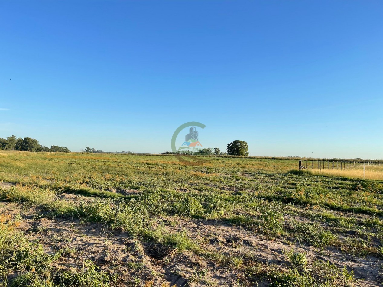 18 ha Mixtos - Pedernales