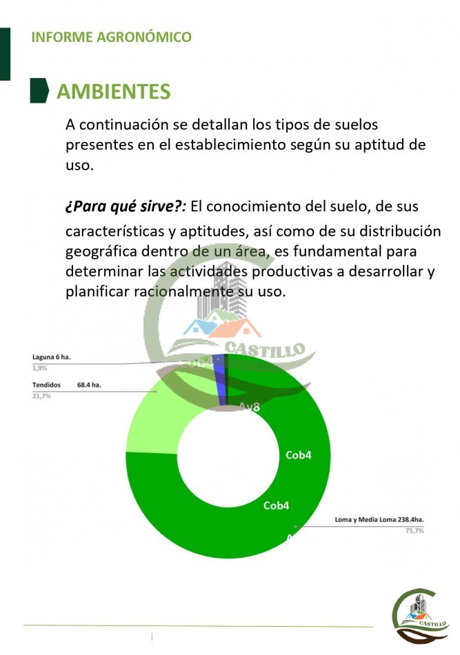 315 ha Mixto - Balcarce