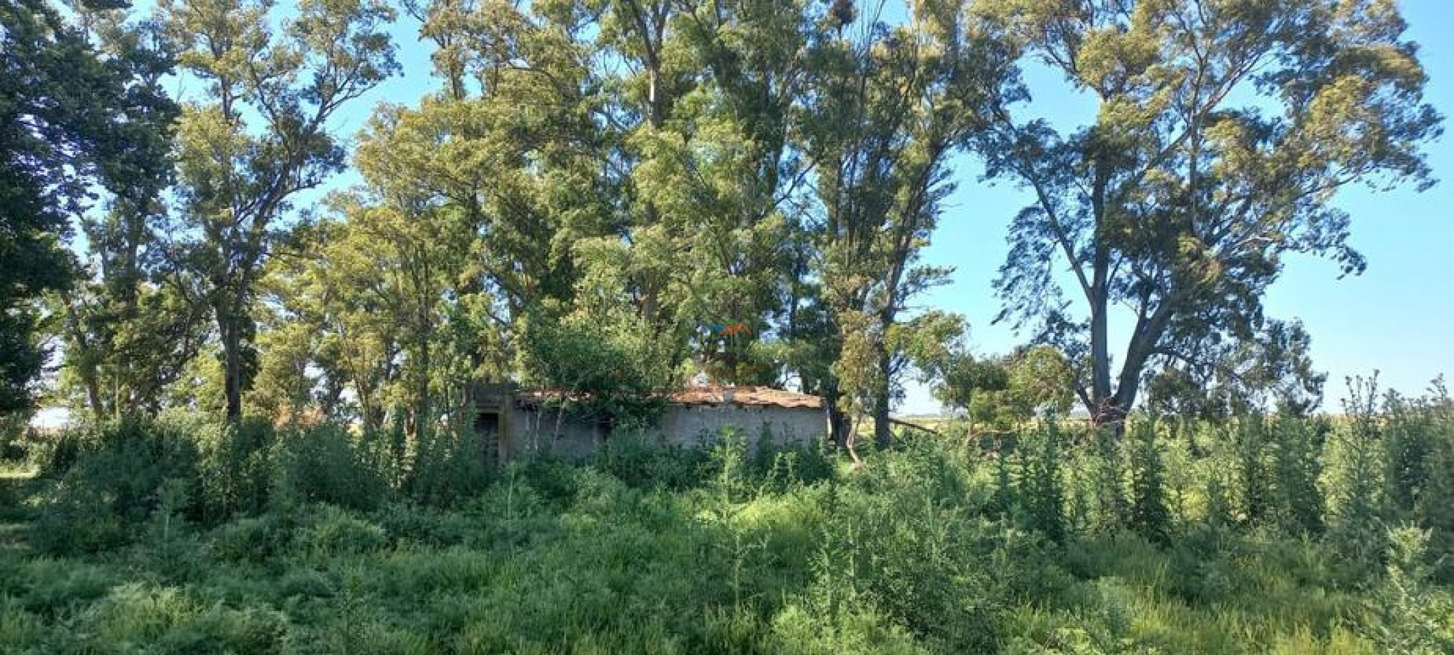 120 Ha Ganadero - Santa Isabel - Gral Alvear