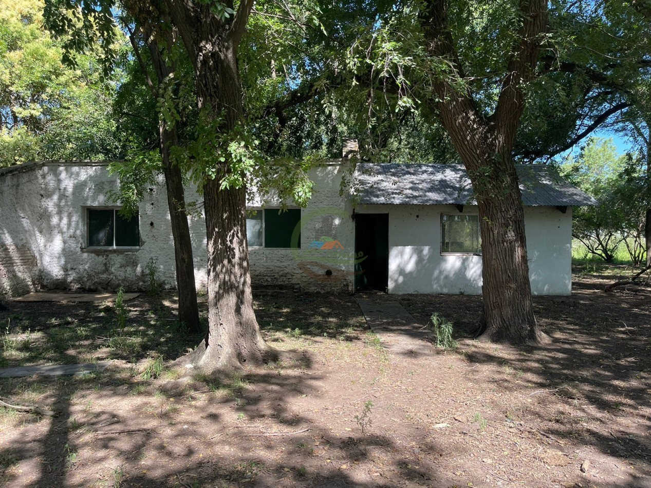 109 ha Feed Lot - Las Flores