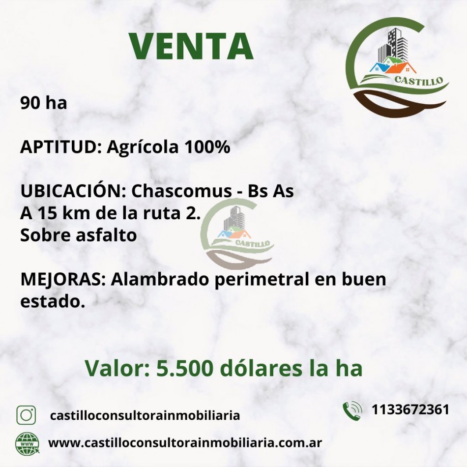 90 ha agricolas - chascomus