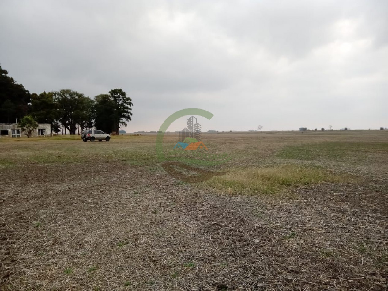 104 ha Agricola - Arequito Sta Fe