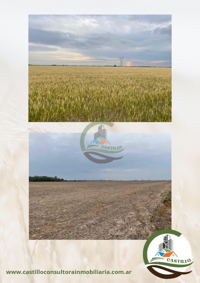 121 ha agricola - panamericana