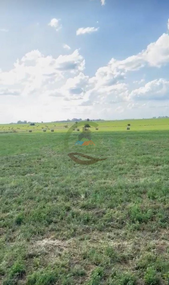 20 ha agricolas - Pergamino 