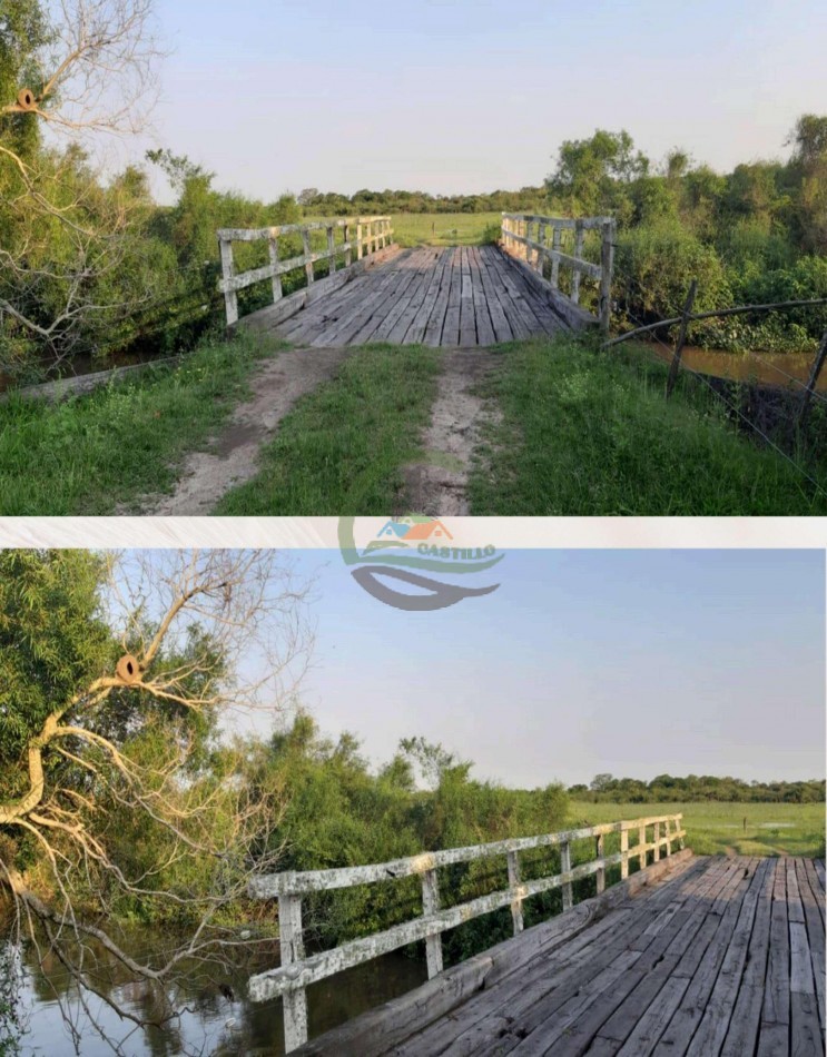 4168 Ha Mixto - San Luis del Palmar - Corrientes