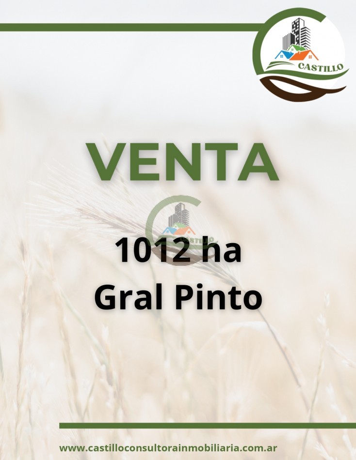 1012 ha Mixto - Gral Pinto