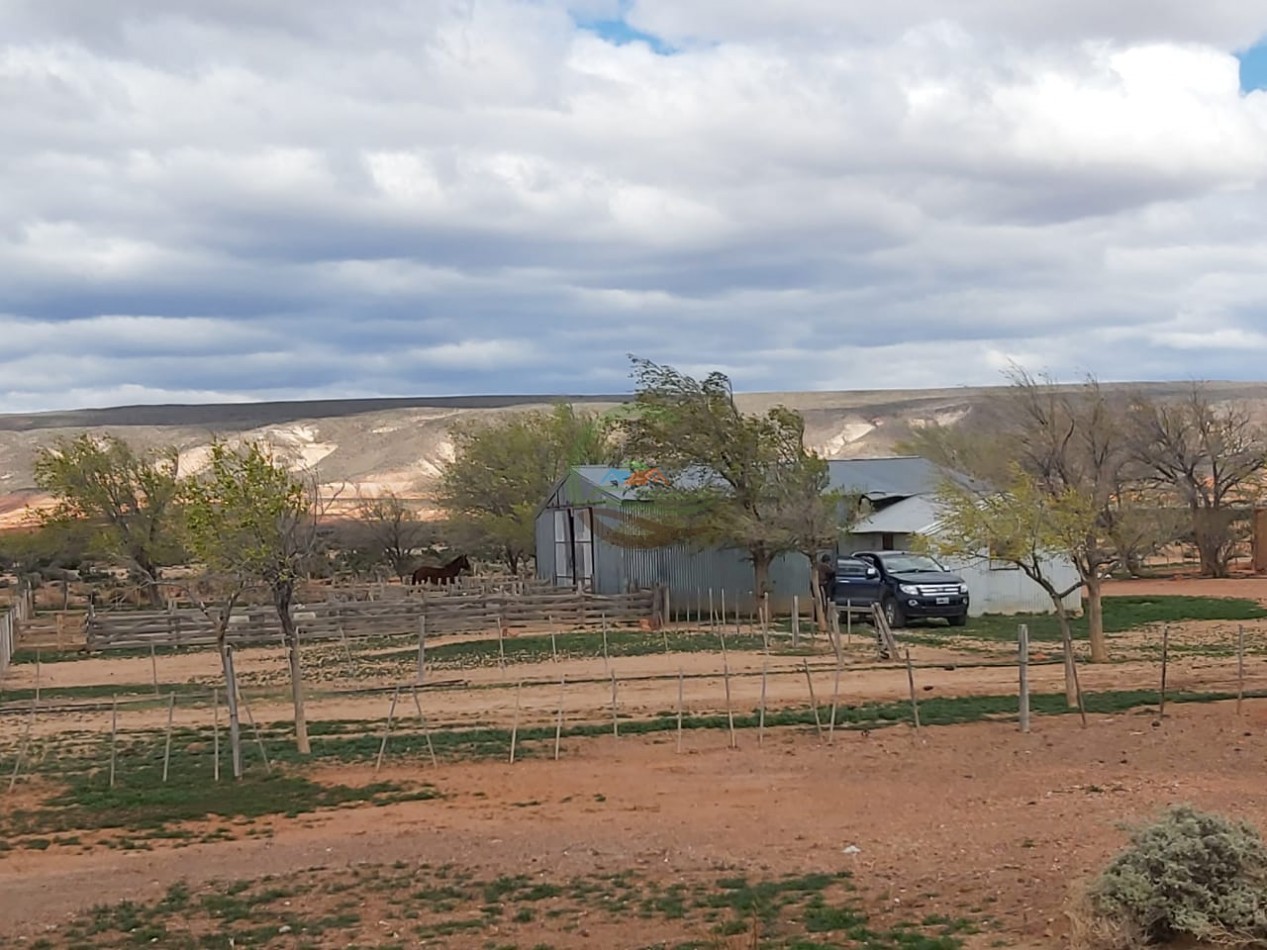 50000 ha Ganadero - Santa Cruz