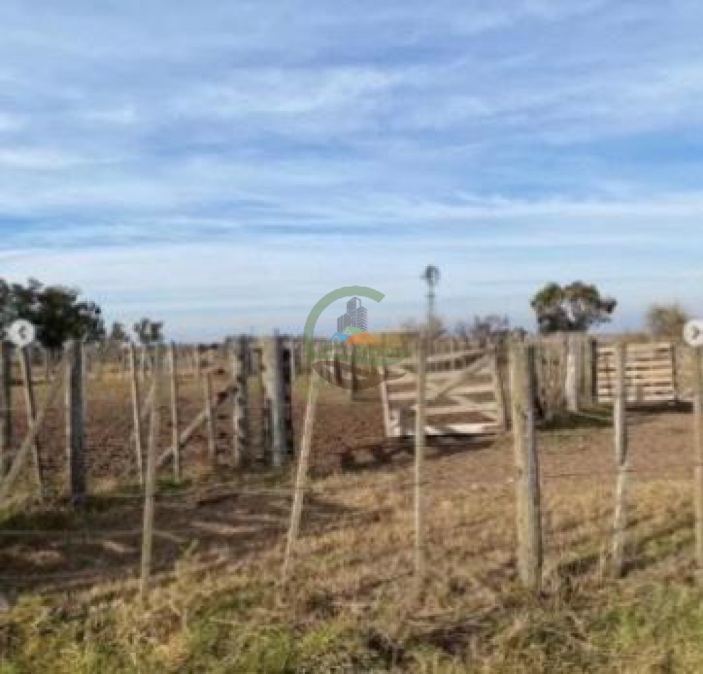 3290 ha Mixtas - Carlos Tejedor