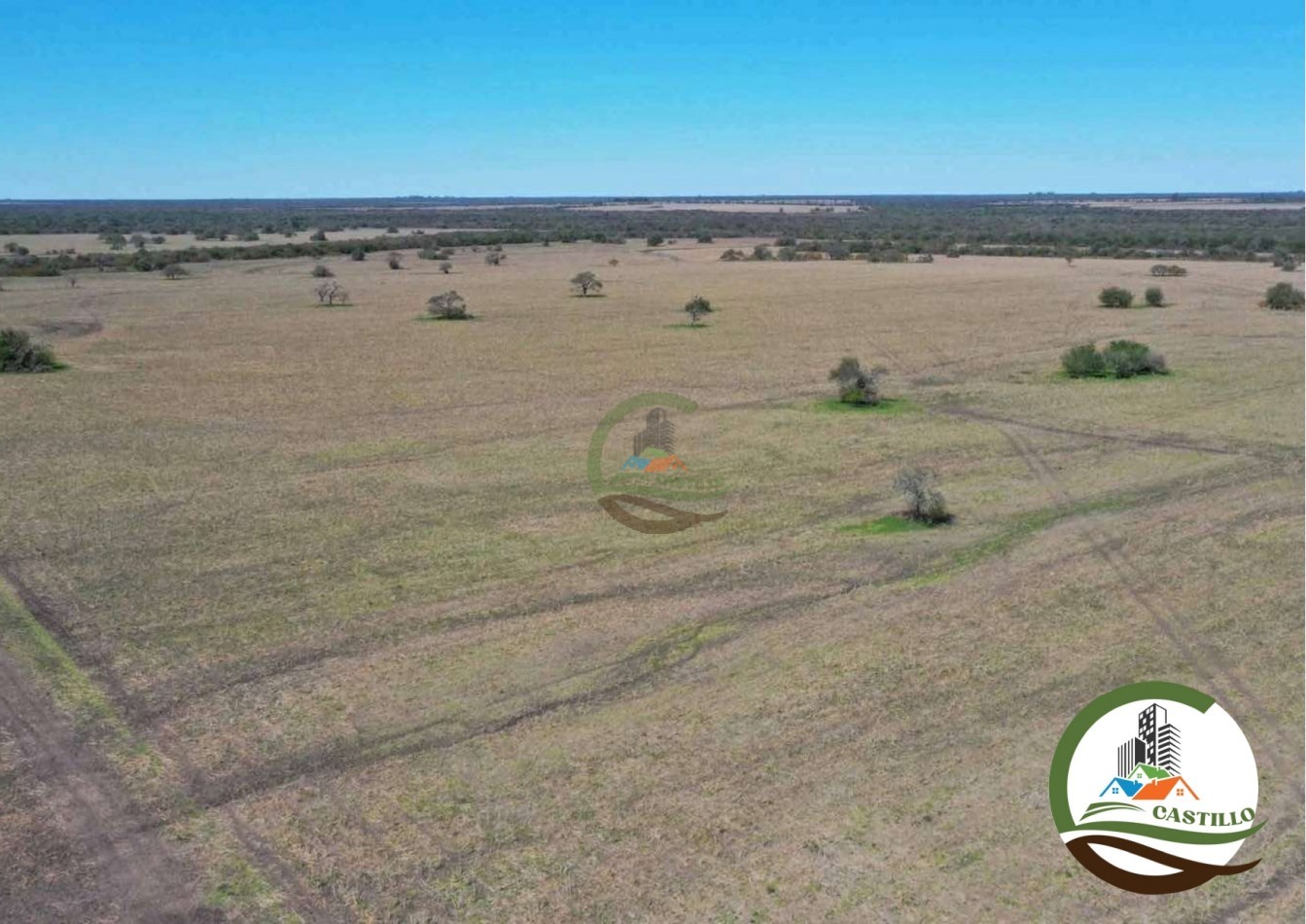 2658 ha Mixto - Entre Rios