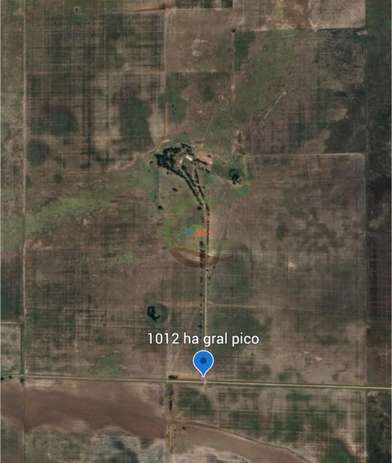 1012 ha Mixto - Gral Pinto