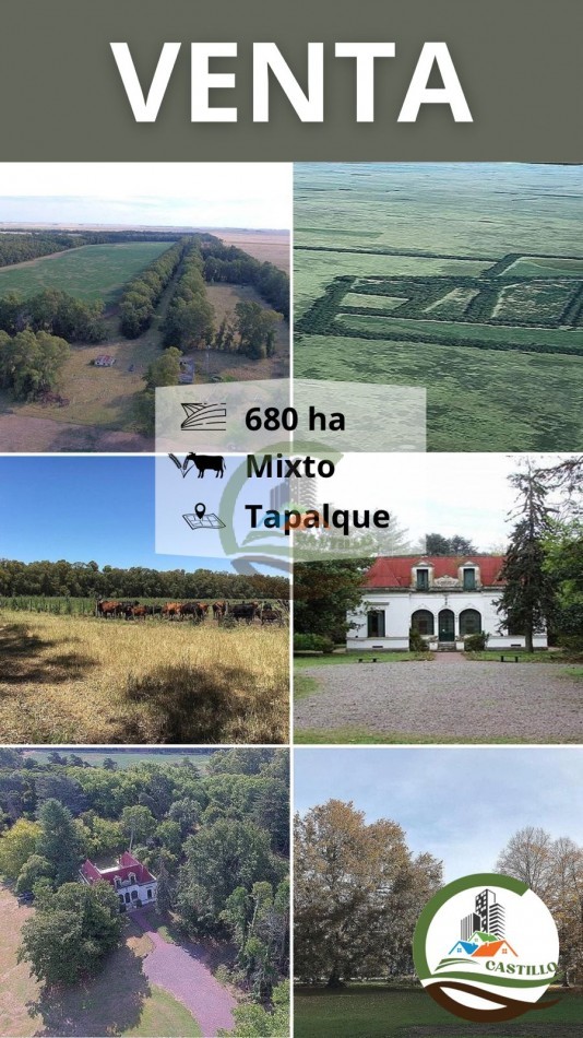 680 ha mixtas - tapalque