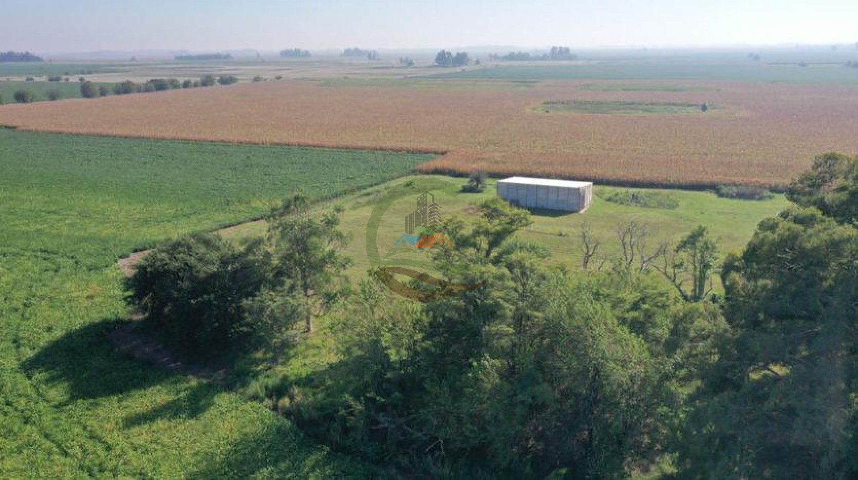 55 ha Agricolas - Saladillo