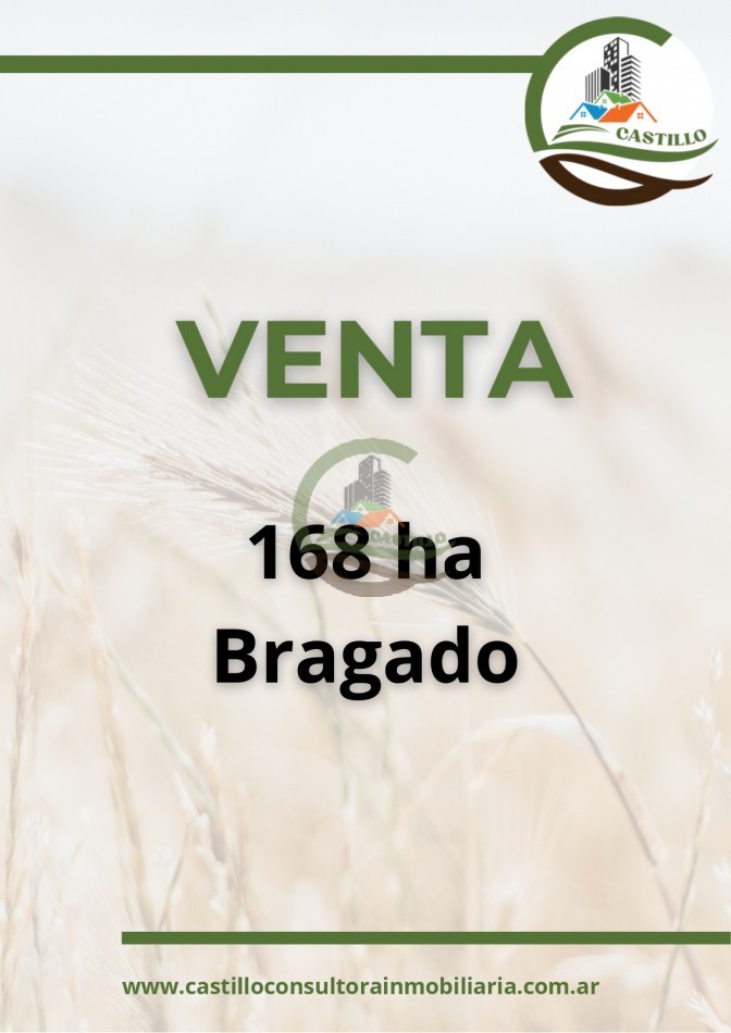 168 ha mixtas - bragado