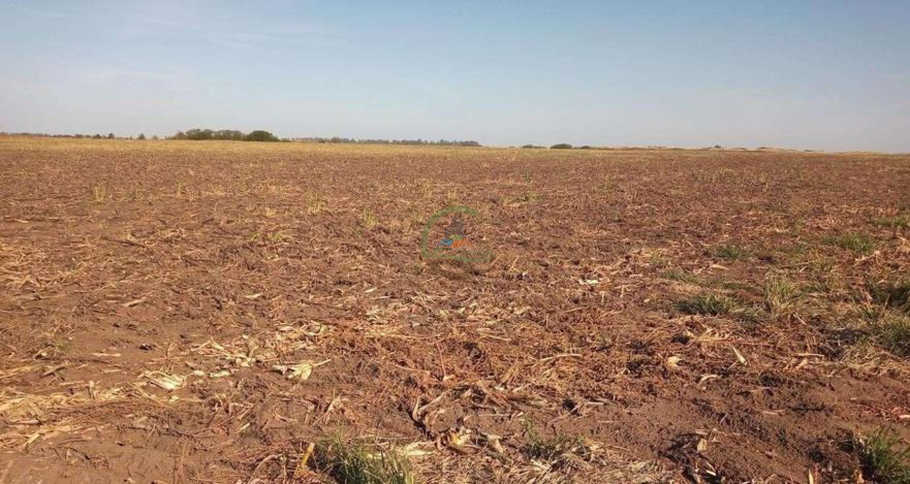 411 Ha Agricolas - Arano - La Pampa