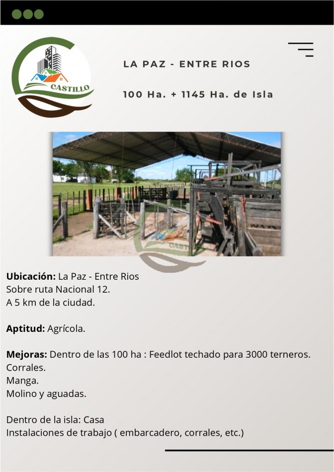 100 Ha Agricolas + 1145 Ha. de Isla - Entre rios