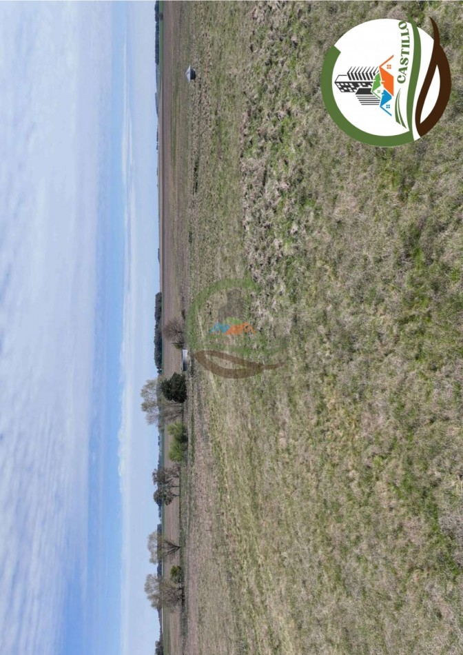 204 ha mixtas - olavarria