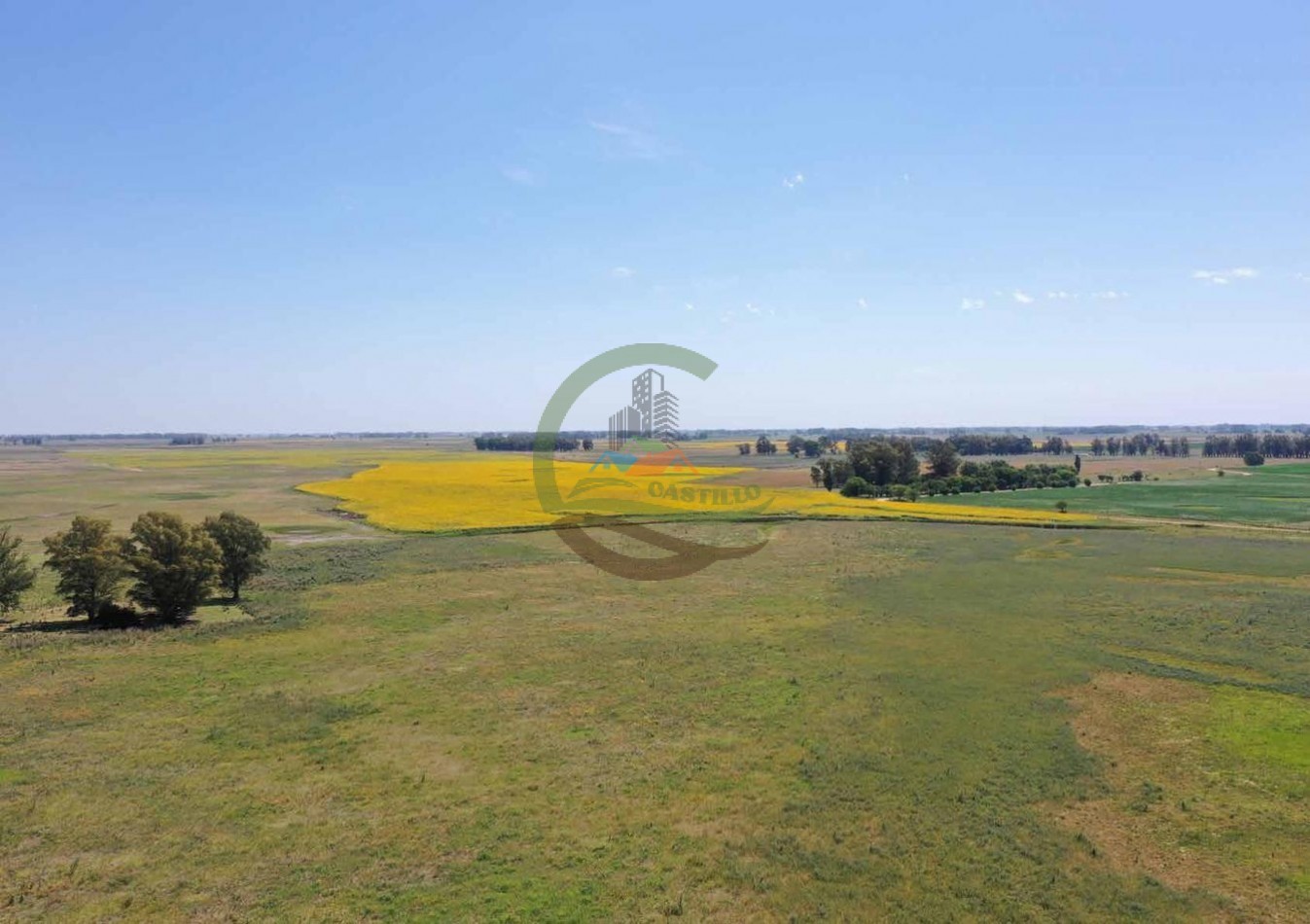 433 ha mixto - Bolivar 
