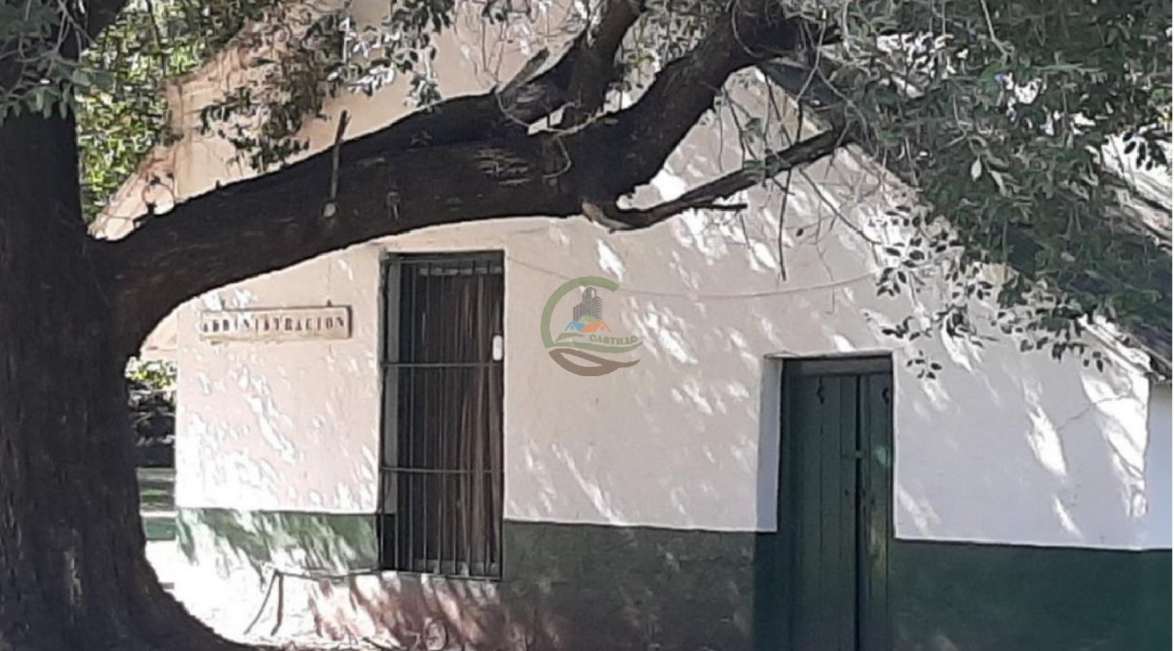 975 Ha Agricolas - San Antonio de Areco