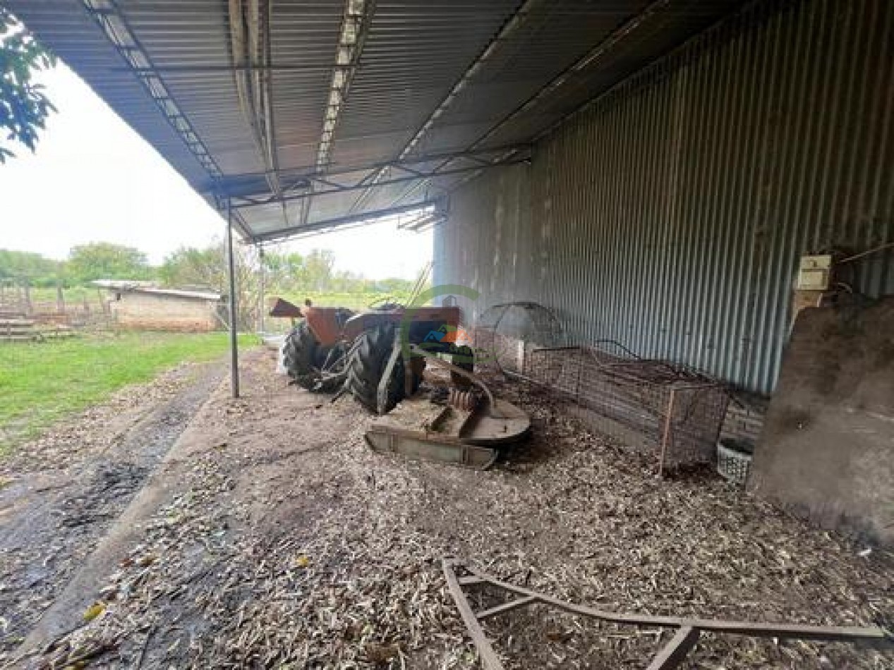 37,5 Ha Agricolas - Zarate