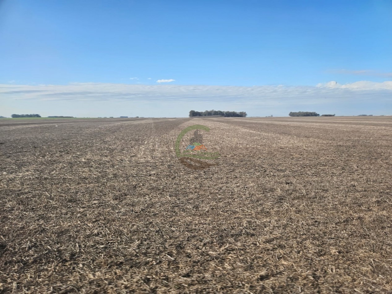 797 ha Agricolas - Bolivar