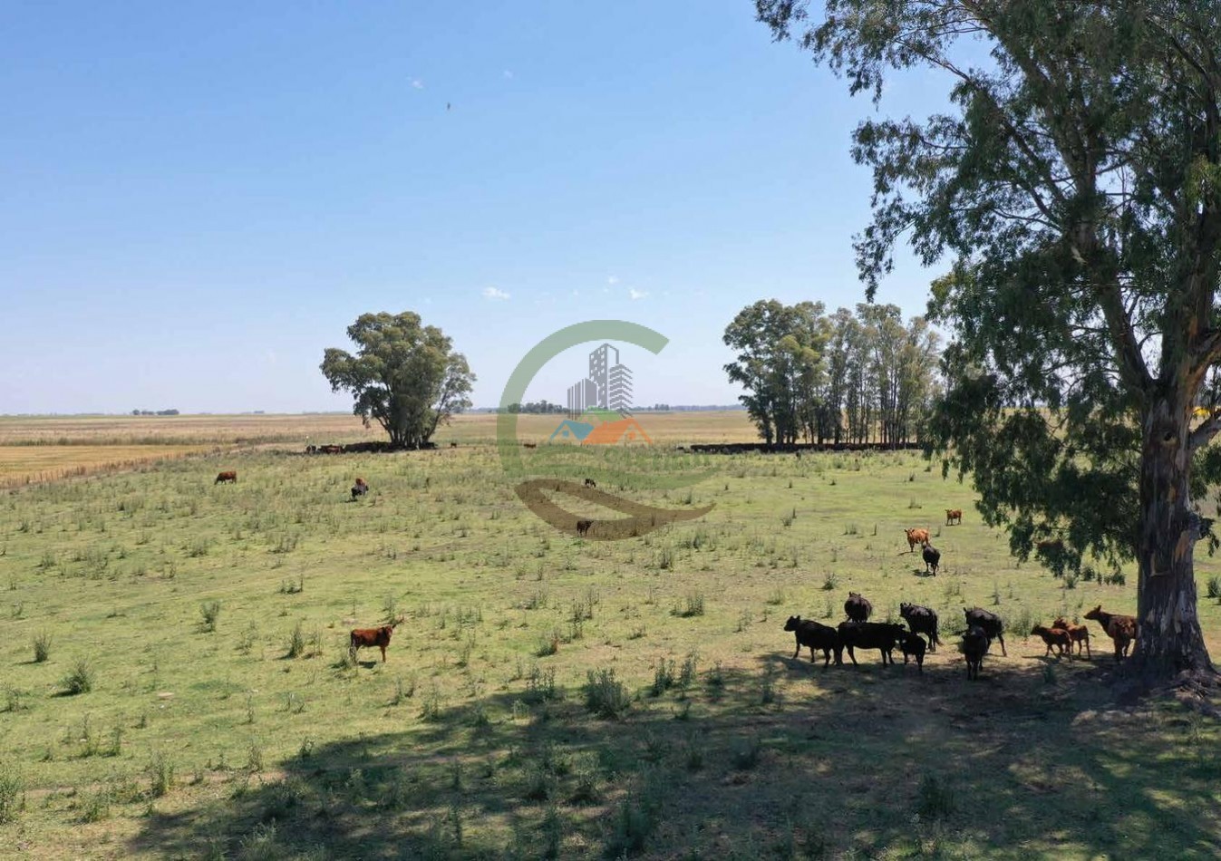 433 ha mixto - Bolivar 