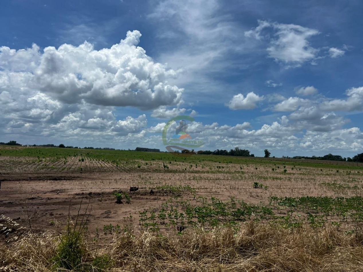 11 ha Agricolas - Saladillo