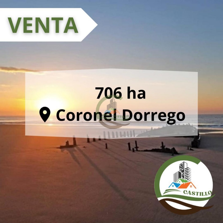 706 ha con 7km de Playa - Coronel Dorrego