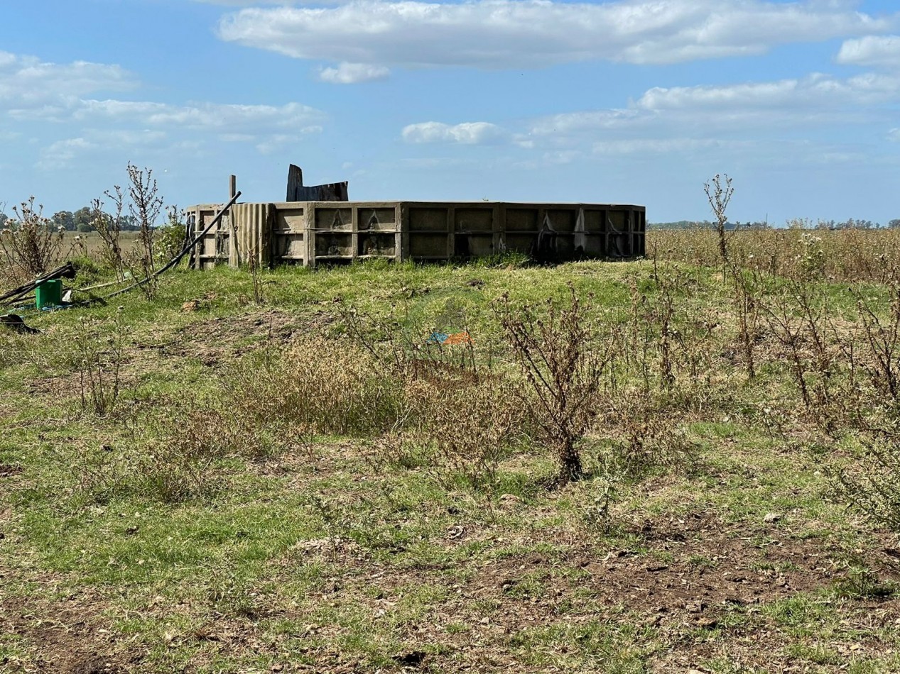 78 ha Mixtas - Saladillo