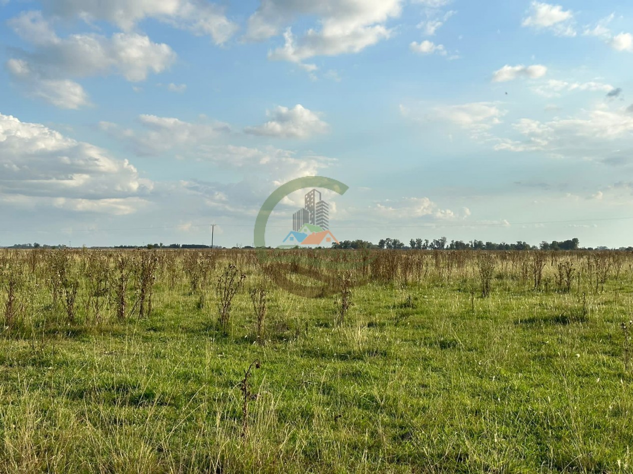 35,4 ha Mixtos - Ranchos