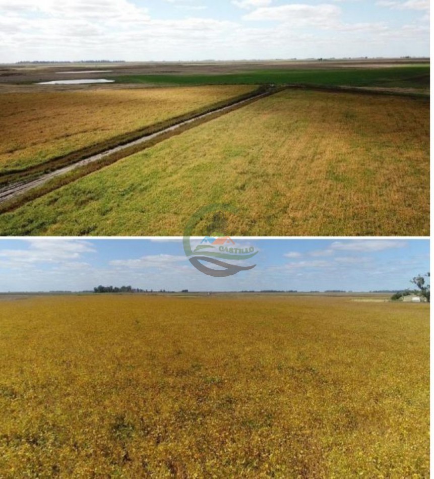5382,89 Ha Mixtas - Tapalque