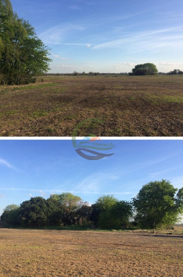 34 ha Agricolas - Marcos Paz 