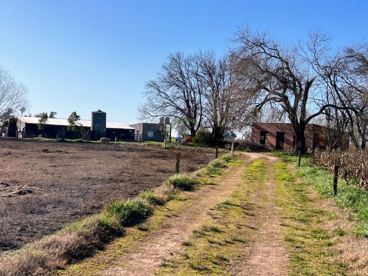 3 ha agricolas - polvaredas