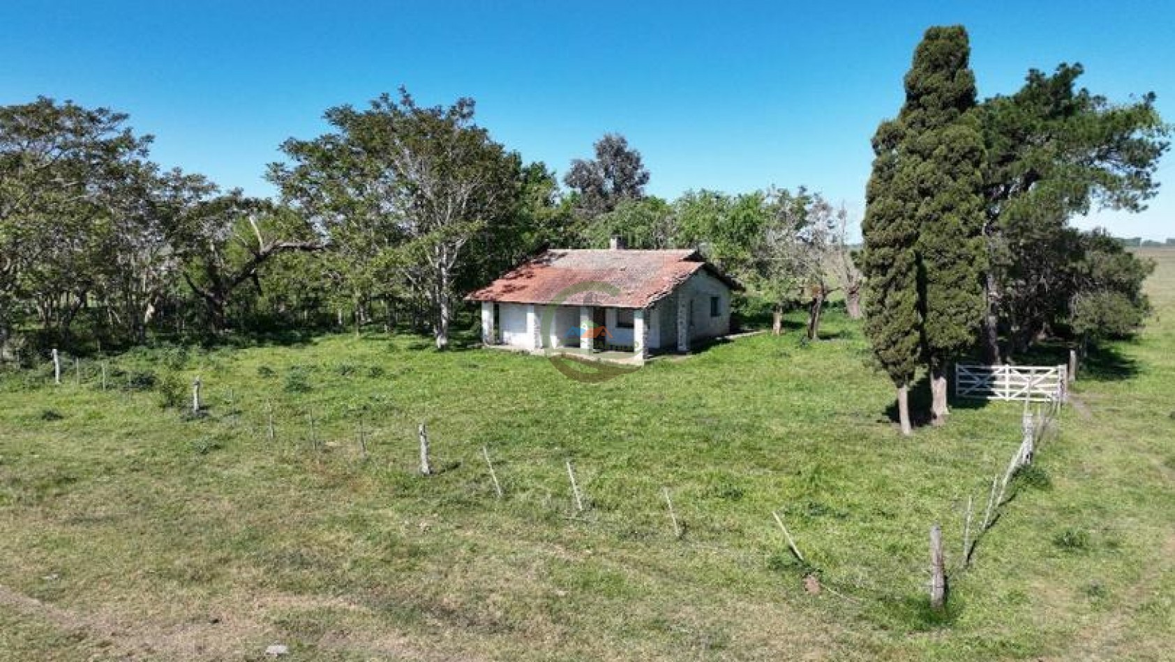 88 Ha Mixto - Udaondo - Cañuelas