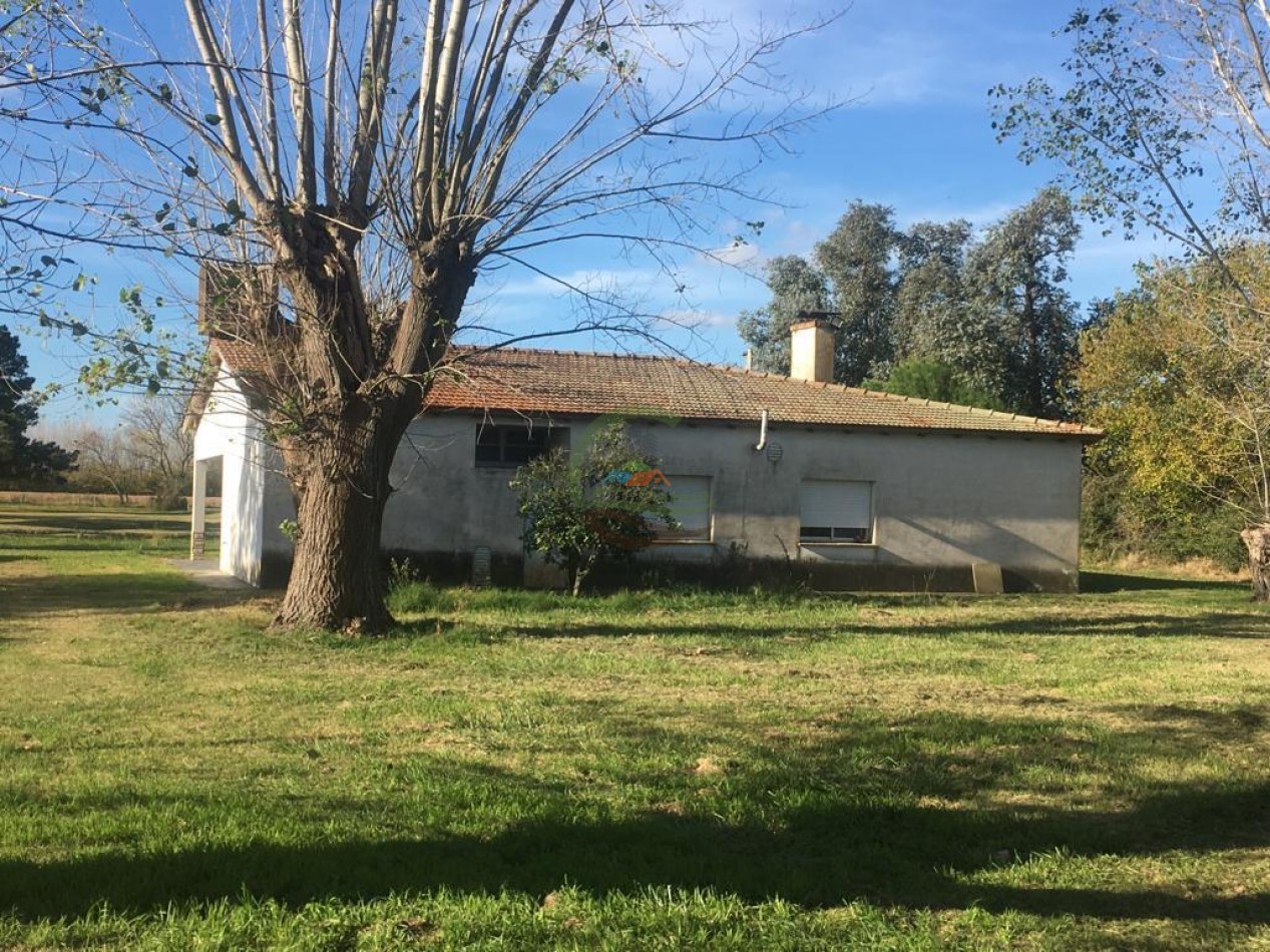 210 ha Agricolas - 25 de MAyo 