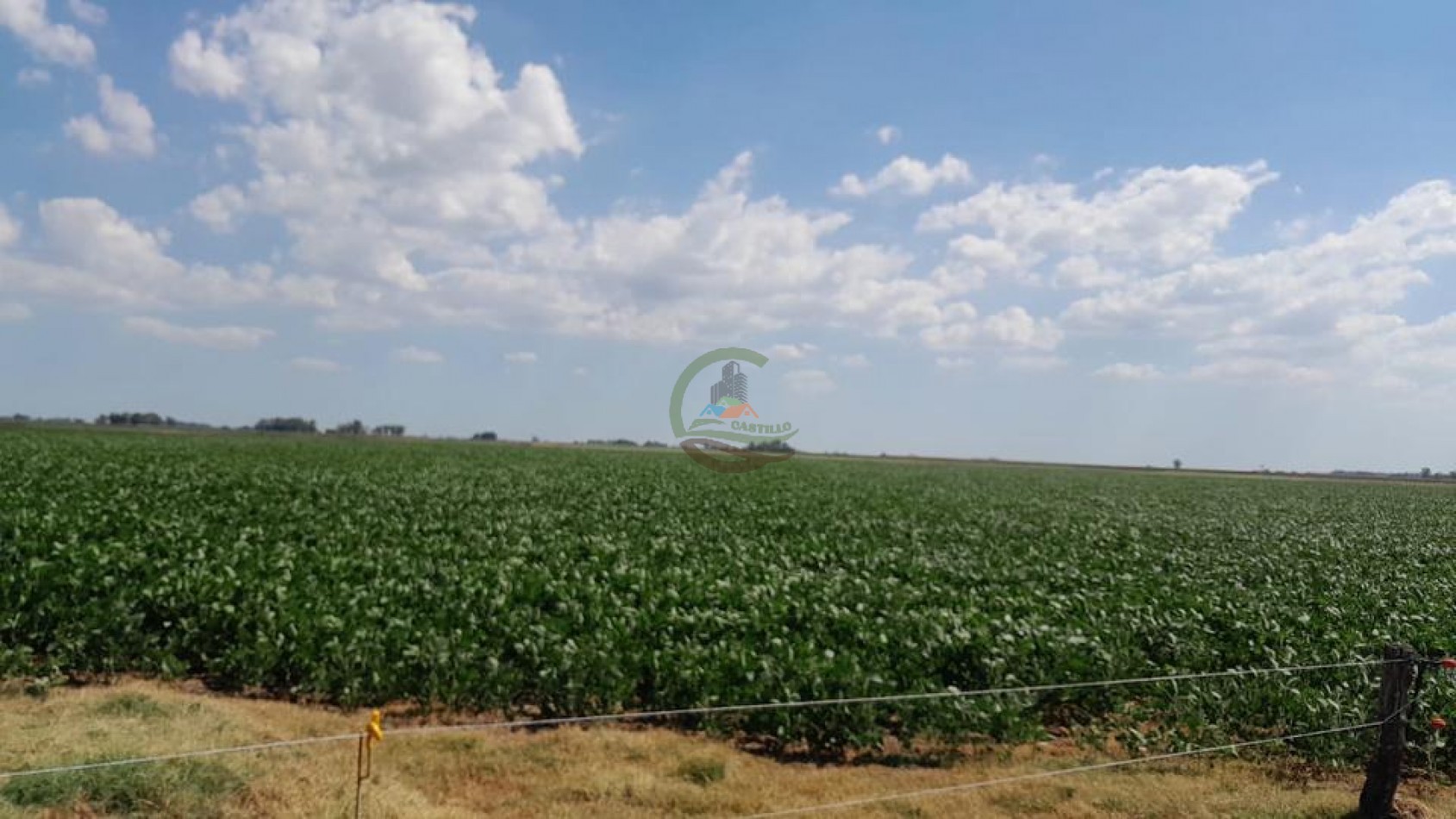210 Ha Agricolas - Quirno Costa - General Viamonte