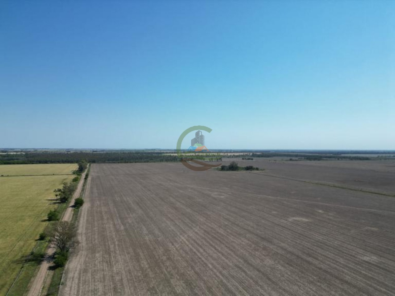 203 ha Agricolas - Santa Fe