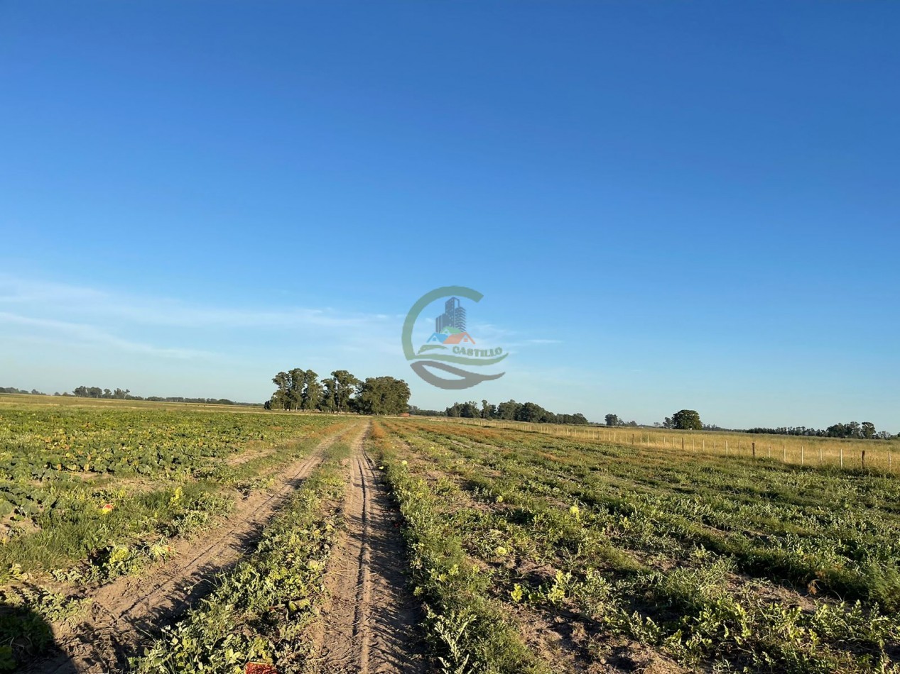 18 ha Mixtos - Pedernales