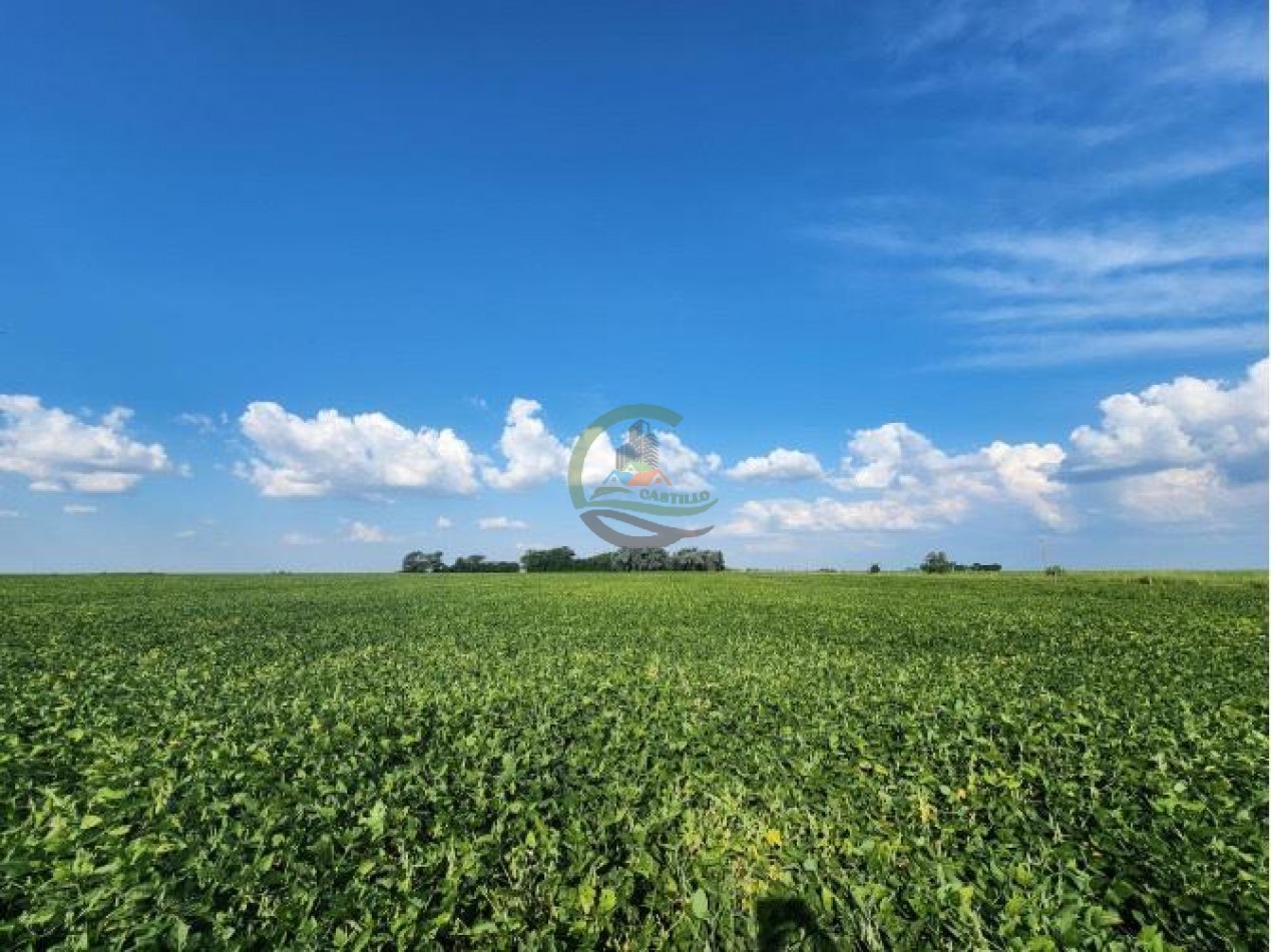 144 Ha Agricolas - Cavanagh - Cordoba 
