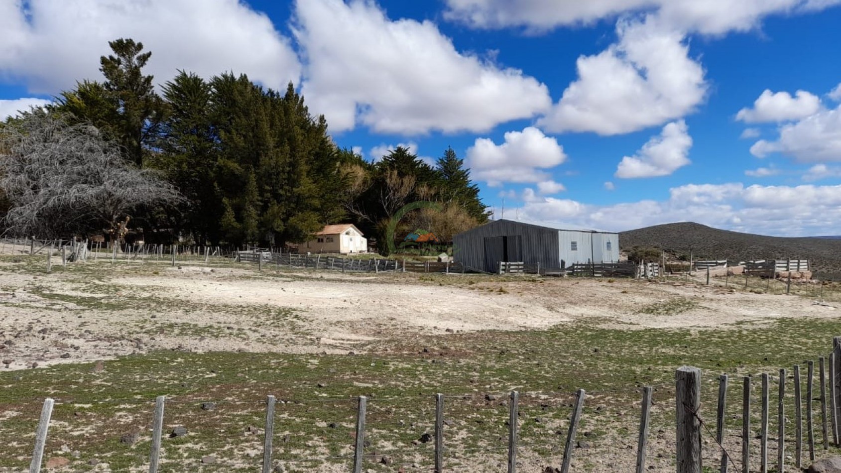 50000 ha Ganadero - Santa Cruz