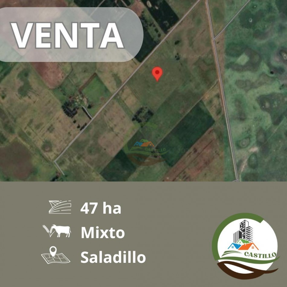 47 ha MIxta - Saladillo